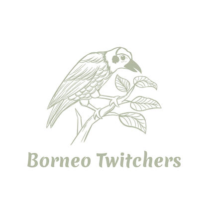 Borneo Twitchers Tours and Travel Sdn Bhd