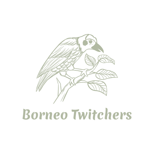 Borneo Twitchers only logo